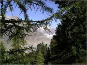 Walter 08.07.08-02.01.200975